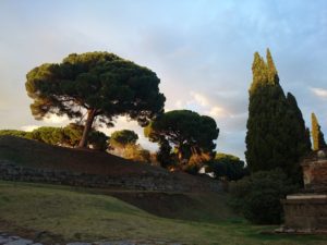 2014-11-13T16-24-44_DSC_0048